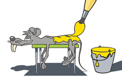 � ����� �����!