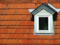 ���� ���������� �������� ������ �� ������� 