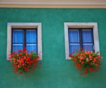 ����� � ������� �������?