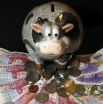 ����� ���������� ����� ������