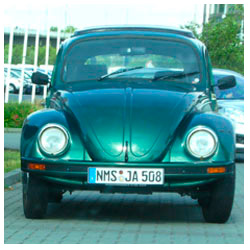 ��� ����� ������� ������ �� ������?